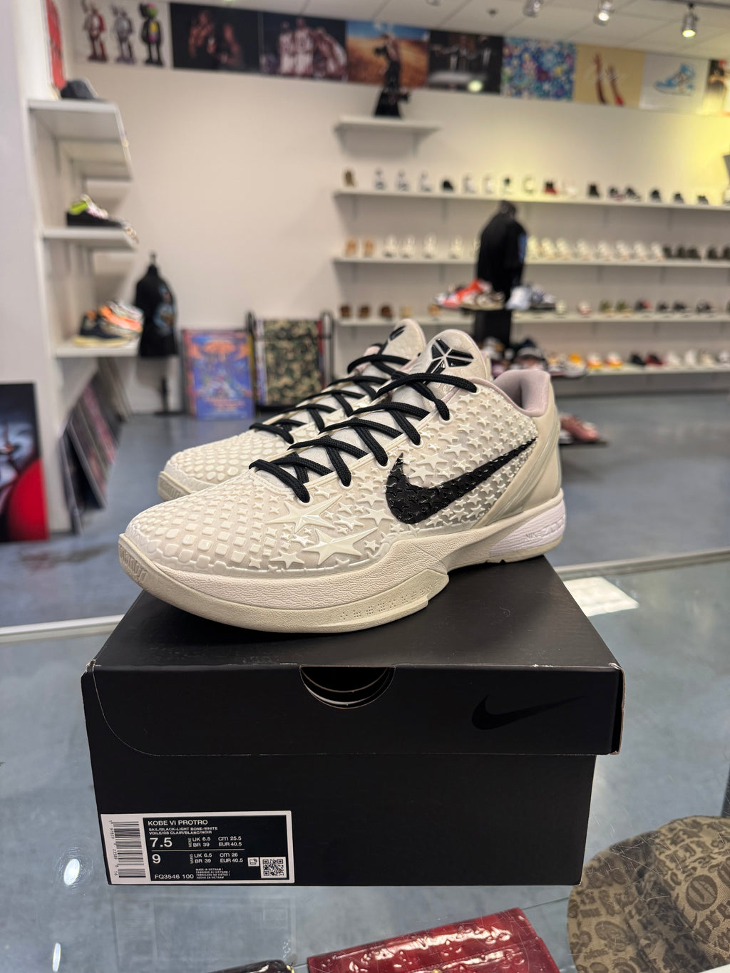 Preowned Kobe 6 Protro Sail All-Star